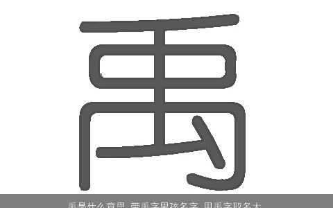 禹是什么意思 带禹字男孩名字 用禹字取名大全的寓意 稀少寓意的带禹字男孩名字大全精选