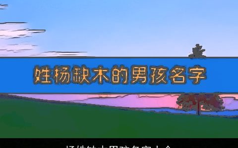 杨姓缺木男孩名字大全