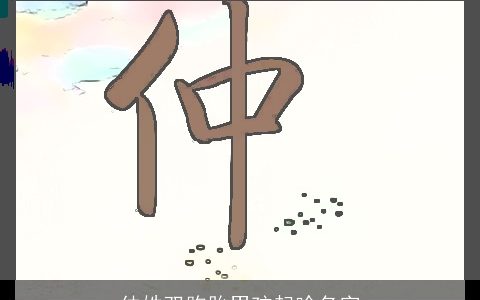 仲姓双胞胎男孩起啥名字