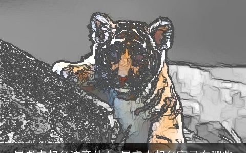 属老虎起名注意什么 属虎人起名宜忌有哪些