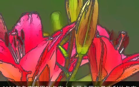 2024年兔宝宝男孩名字大全属虎男孩最吉利的名字