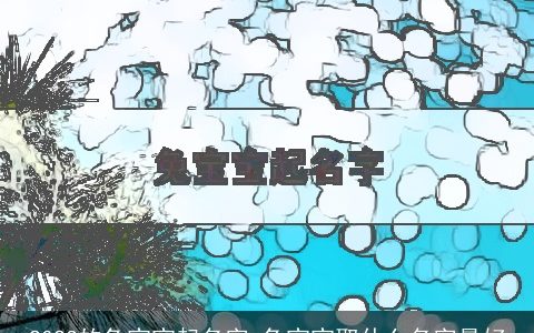 2023的兔宝宝起名字 兔宝宝取什么名字最好