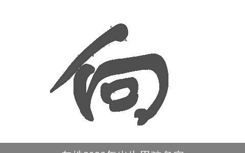 向姓2024年出生男孩名字