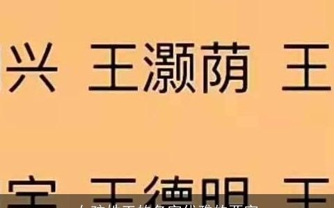 女孩姓王的名字优雅的两字