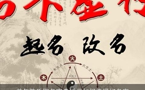 羊年陈氏取名宝典学习如何选择好名字