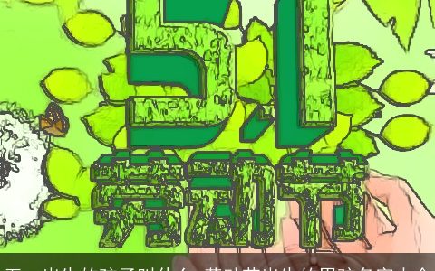 五一出生的孩子叫什么 劳动节出生的男孩名字大全