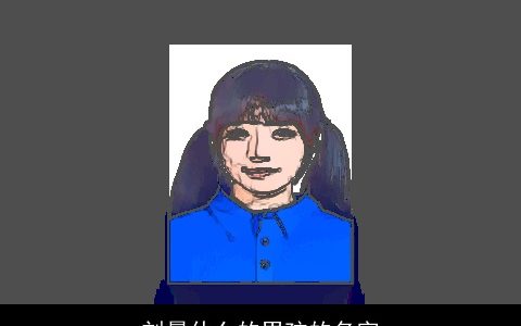 刘晨什么的男孩的名字