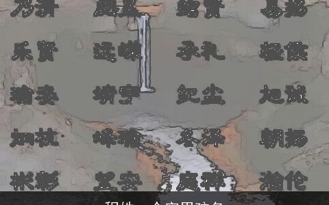 程姓一个字男孩名