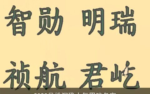 2023吴姓沉稳大气男孩名字