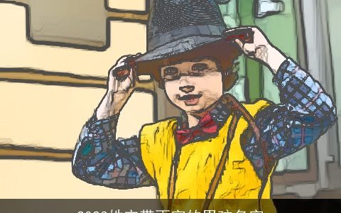 2024姓宋带雨字的男孩名字