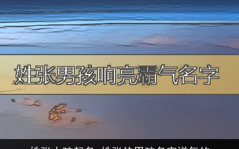 姓张小孩起名 姓张的男孩名字洋气的