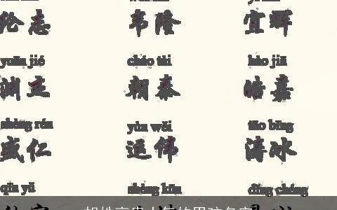 胡姓高贵大气的男孩名字