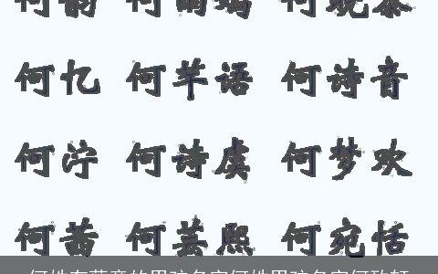 何姓有蕴意的男孩名字何姓男孩名字何致轩