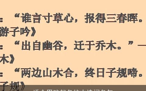 适合男孩起名的古诗词名句