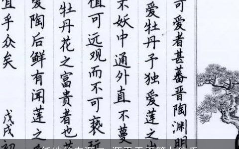 任姓的来源二_源于天干第九位壬