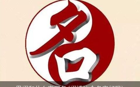 用翊和什么字取名(翊博这个名字好吗)