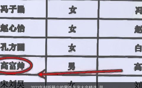 2024年好听稀少的男孩名字大全精选 简单不拗口 好听稀少简单的男孩名字大全精选