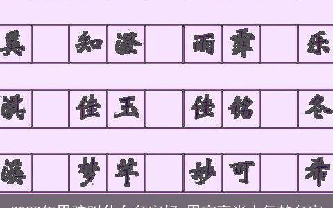 2023年男孩叫什么名字好 男宝高尚大气的名字