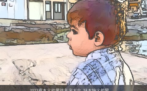 2024喜木火的男孩名字大全 缺木缺火的男孩名字 帅气有涵养的五行缺木的男孩名字筛选