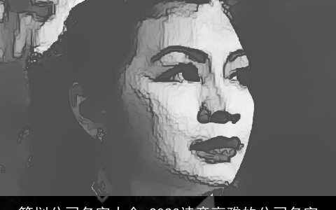 策划公司名字大全 2024诗意高雅的公司名字