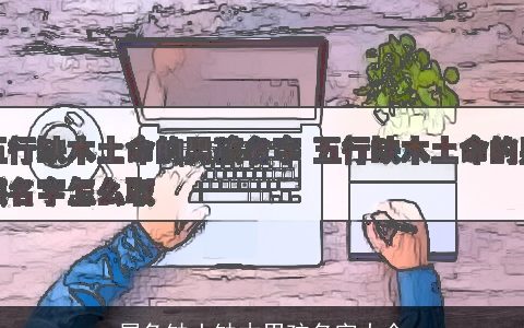 属兔缺土缺木男孩名字大全