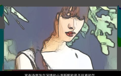 富有诗意饱含深情的小清新昵称最美优雅的气质网名大全 诗意优雅气质的昵称网名名字大全