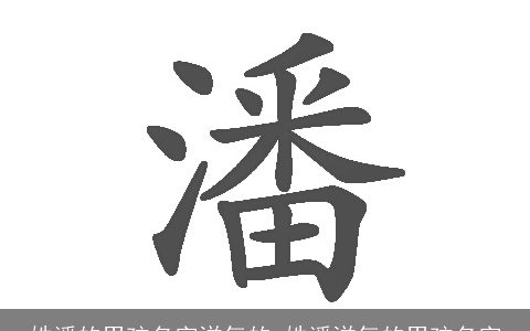 姓潘的男孩名字洋气的_姓潘洋气的男孩名字