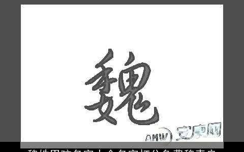 魏姓男孩名字大全名字打分免费魏青良
