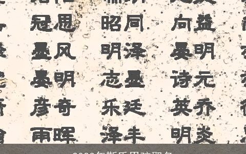 2023年靳氏男孩取名