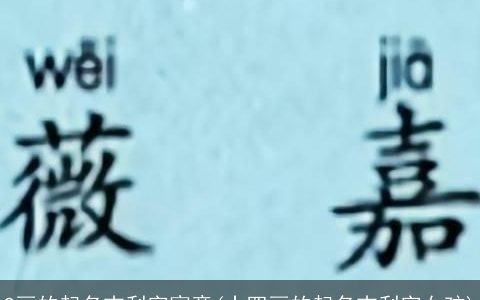 9画的起名吉利字寓意(十四画的起名吉利字女孩)