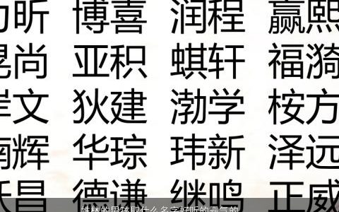 姓林的男孩取什么名字好听的霸气的 姓林的男孩取什么名字好听的霸气的两字