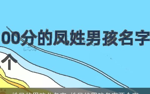 姓凤的男孩儿名字 姓凤的男孩名字两个字