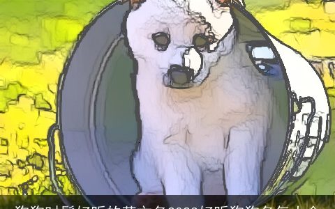 狗狗时髦好听的英文名2024好听狗狗名气大全