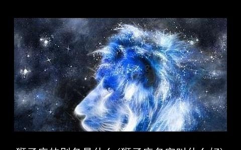 狮子座的别名是什么(狮子座名字叫什么好)