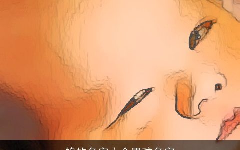 锦的名字大全男孩名字