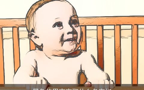 属兔的男宝宝取什么名字好