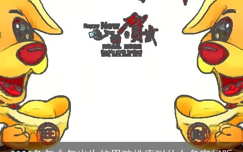2024兔年今年出生的男孩姓康叫什么名字好听