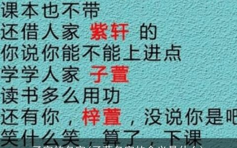 子字的名字(子莫名字的含义是什么)