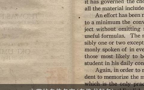 文艺的自传名字(自传书起名)