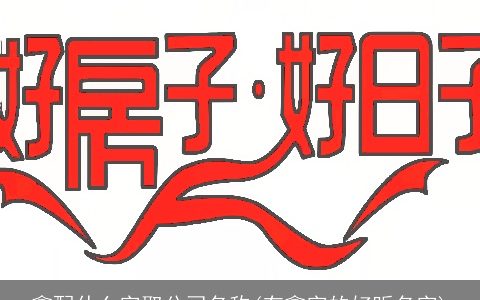 鑫配什么字取公司名称(有鑫字的好听名字)