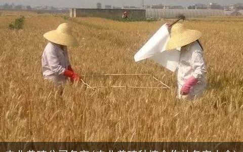 农业养殖公司名字(农业养殖种植合作社名字大全)