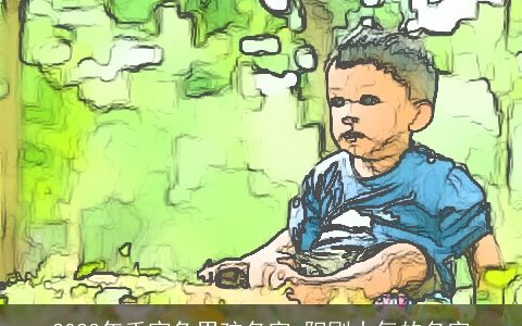 2023年壬寅兔男孩名字 阳刚大气的名字