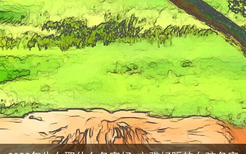 2023年牛女取什么名字好 文雅好听的女孩名字