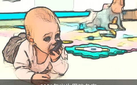 2021年出生男孩名字