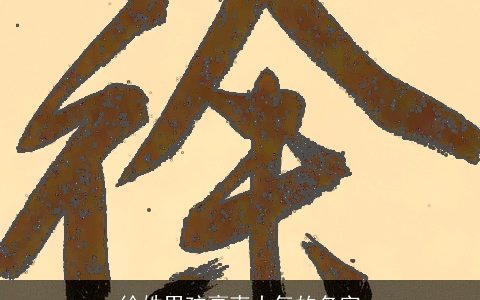 徐姓男孩豪爽大气的名字