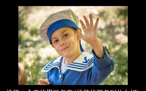 姓魏一个字的男孩名字(姓魏的取名叫什么好)