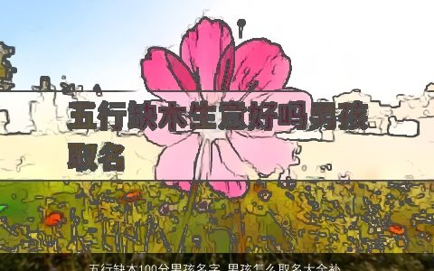 五行缺木100分男孩名字 男孩怎么取名大全补木 2024有涵养新颖的五行缺木的男孩名字挑选