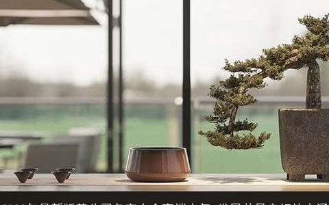 2024年最新版茶公司名字大全高端大气 发展前景良好的内涵