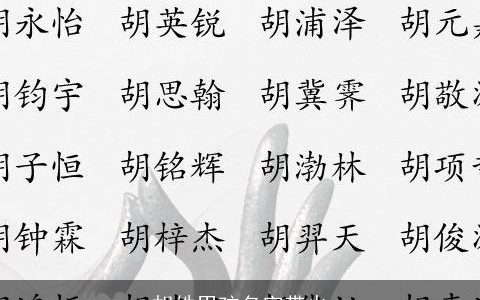 胡姓男孩名字带火