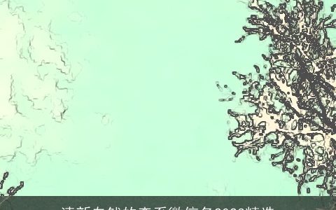 清新自然的森系微信名2023精选